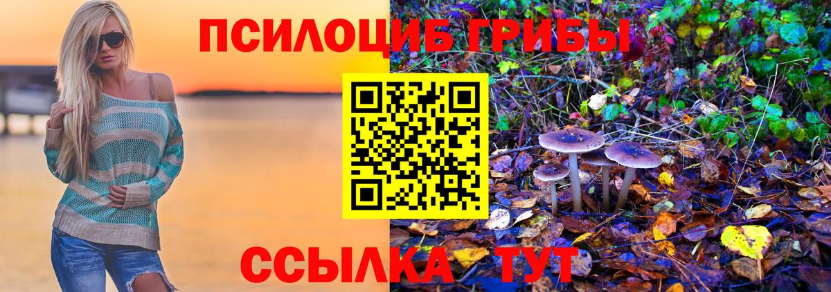 закладки  Вход с VPN  Туймазы  Псилоцибиновые грибы Psilocybine cubensis 